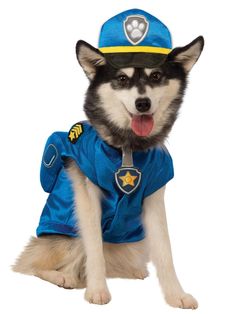 Paw Patrol Chase Pet Costume - costumes.com Paw Patrol Dog Costume, Paw Patrol Halloween Costume, Pet Costume Ideas, Chase Costume, Cop Dog, Paw Patrol Halloween, Cute Christmas Gift Ideas, Paw Patrol Costume, Spiderman Room