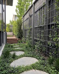 a stone path in the middle of a garden with green plants growing on it's sides