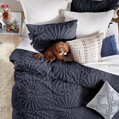 a dog laying on top of a bed covered in blue comforters and pillows,