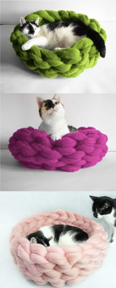 three different types of cat beds with cats laying on them and one has a kitten in it