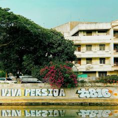 graffiti on the side of a building near a body of water with cars parked in front of it