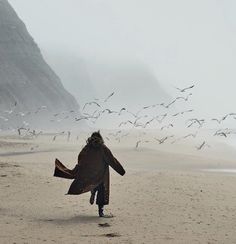 a person walking on the beach with birds flying around