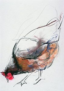 a drawing of a bird on a white background with black and red lines around it