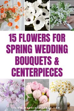 flowers for spring wedding bouquets and centerpieces with text overlay that reads, 15 flowers for spring wedding bouquets and centerpieces