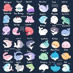 the different types of sea animals are depicted in this poster, which shows their names