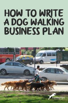 a man is walking his dogs down the street with cars in the background and text overlay that reads how to write a dog walking business plan