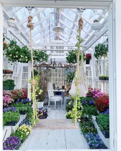 a room filled with lots of different types of flowers and plants inside of a greenhouse