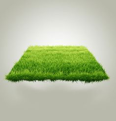 an image of grass that is in the shape of a pyramid on a gray background