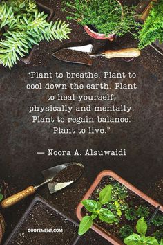 Let’s read an inspiring collection of garden quotes that will remind us of the wisdom, beauty, and life lessons found in the petals and greenery of a garden! Plants, Beauty