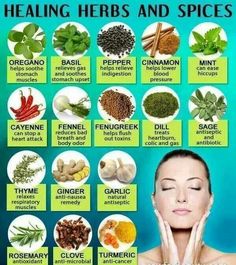 Healthy Herbs, Herbs For Health, Healing Food, Herbs And Spices, Healing Herbs, Natural Health Remedies, Medicinal Herbs, Natural Medicine, Herbal Medicine