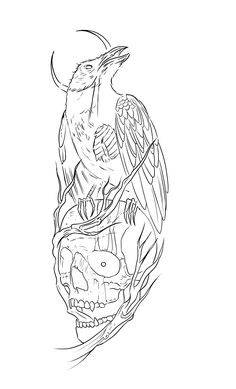 a drawing of a bird sitting on top of a skull