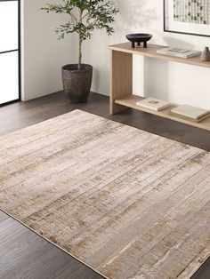 an area rug with a potted plant in the middle and books on top of it