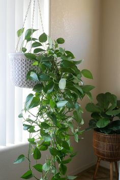 a potted plant hanging from a chain next to a window