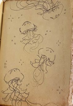 an old book with drawings of jellyfishs on the pages and writing underneath it