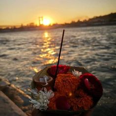 the sun is setting over the water with flowers in front of it and an umbrella sticking out