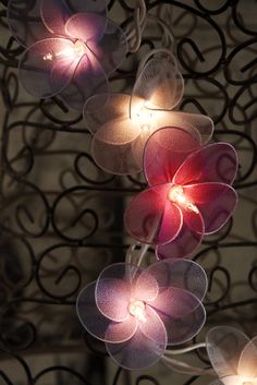 some flowers are lit up with lights in the shape of hearts and petals on a wire