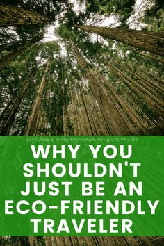 the words, why you shouldn't just be an eco - friendly traveler are shown in