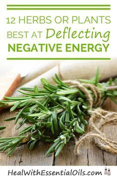 There are specific herbs that have used for a very long time, that have the impact of deflecting and transforming negative energies. This is largely the basis of many therapeutic essential oils. Here are 12 excellent herbs at deflecting negative energy. Find out what they are and how to get young living therapeutic grade essential oils. Magia Das Ervas, Herbal Healing, Healing Herbs, Natural Health Remedies, Medicinal Herbs, Back To Nature, Medicinal Plants, Natural Medicine, Herbal Medicine