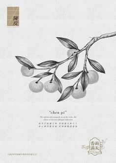 an image of a branch with berries on it and the words cherries written in chinese