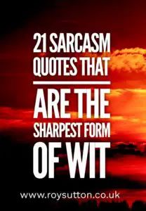 a sunset with the words 21 sarcasm quotes that are the sharpest form of wit