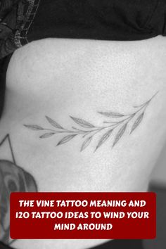 the vine tattoo meaning and 120 tattoo ideas to wind your mind around