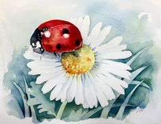 a watercolor painting of a ladybug sitting on top of a white flower