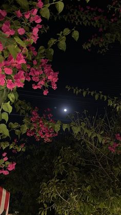 the full moon shines brightly in the night sky over some pink flowers and trees