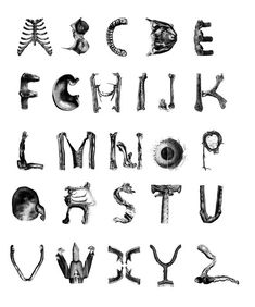 the alphabet is made up of different types of letters and numbers, including one for each letter