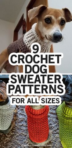 a dog wearing a sweater with the words 9 crochet dog sweater patterns for all sizes