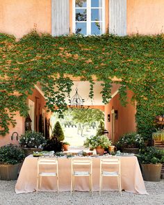 an outdoor dining area with table and chairs covered in ivy, surrounded by potted plants