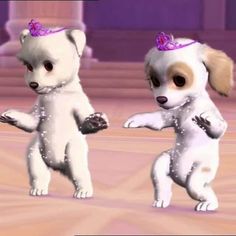 two white puppies standing on their hind legs in the middle of a dance floor