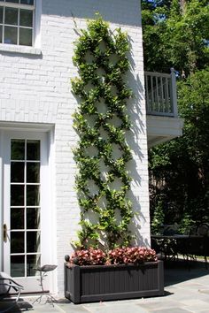 a white brick building with a large planter on the outside wall and patio area