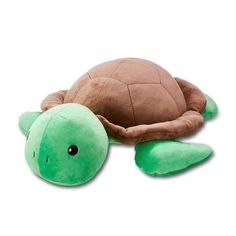 a stuffed turtle is laying on the ground