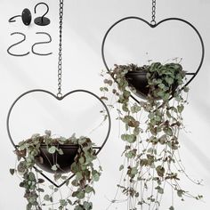 PRICES MAY VARY. NOVEL DESIGN - We use a heart-shaped design of the modern hanging planter, heart shape hanger implying a warm family atmosphere and attentive care for plants. SIZE - Contains two hanging planters each about 10.2 x 9.6 x 6.2 inch, chain height:20 inch. We're throwing in an extra 17 inch detachable chain so you can better choose your trim height. The plant pot is hemispherical. Pot mouth diameter:6.2 inch. Pot height: 3 inch; NO drainage hole on pot to avoid water dripping. DURABL Ceiling Plant Hanger, Outdoor Minimalist, Metal Plant Hangers, Metal Hanging Planters, Hanging Plant Holder, Office Decorations, Growing Succulents, Hanging Plant, Hanging Pots