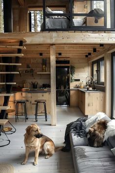 two dogs sitting on the floor in front of a living room with wooden walls and stairs