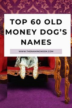 a dog sitting on top of a red chair with the words top 60 old money dogs names