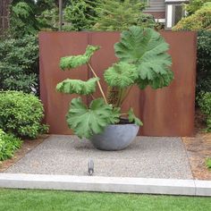 a potted plant is sitting in the middle of a small garden with a fence behind it