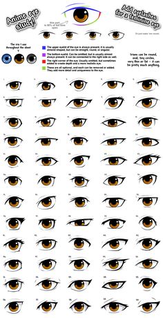 an eye chart showing the different types of eyes and how they are used to look