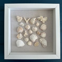 a shadow frame with sea shells in it on a blue wall above a white framed artwork