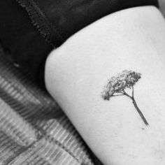 a small tree tattoo on the left thigh and right leg, it looks like a dandelion