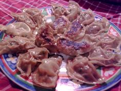 a plate full of dumplings and meat on a colorful tablecloth with a red checkered table cloth