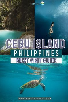 Cebu Island Guide Oslob Cebu, Philippines Trip, Cebu Island, Swimming With Whale Sharks, Cebu City, Perfect Itinerary, Airport Shuttle, Island Travel