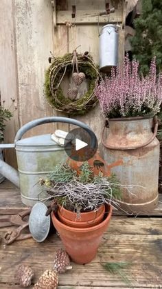 an old watering can filled with plants on top of a wooden table next to other potted plants