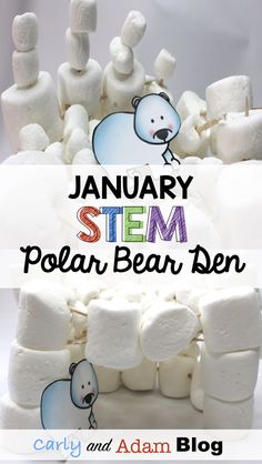 Polar Bear Unit, Winter Stem Challenges, Polar Bears Activities, Winter Stem Activities, Winter Stem, Stem Lesson, Winter Activity, Winter Classroom, Polar Animals