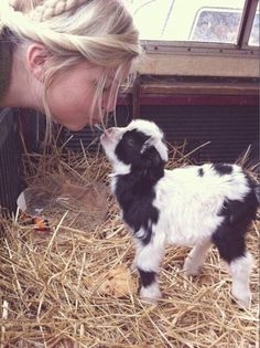 a woman is kissing a baby goat on the nose and it's face next to hay