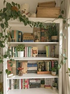 a bookshelf filled with lots of books next to a potted plant on top of a window sill