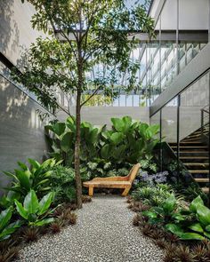 a wooden bench sitting in the middle of a garden next to a tree and stairs