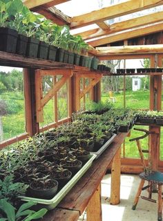 many plants are growing in the greenhouse with wooden beams and windows on either side of them