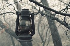 an old fashioned lantern hanging from a tree branch