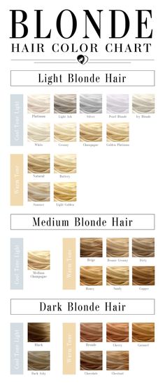 Different Types Of Blonde Hair, Different Types Of Blonde, Types Of Blonde Hair, Types Of Blonde, Champagne Blond, Dark Ash Blonde Hair, Blonde Hair Color Chart, Blonde Hair Colour Shades, Hair Chart